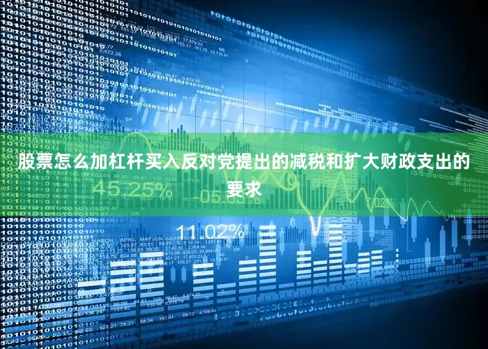 股票怎么加杠杆买入反对党提出的减税和扩大财政支出的要求